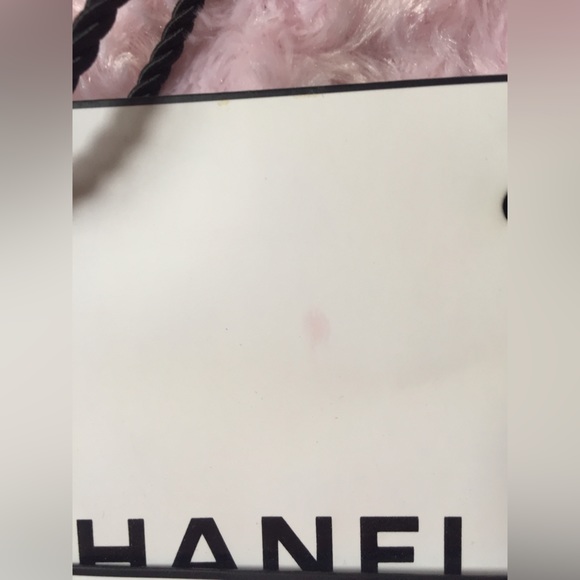 Dior & Chanel bags - Picture 5 of 5